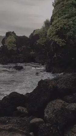 Lagu Viral Tiktok 