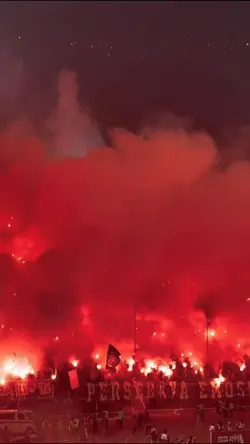 bonek