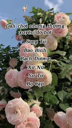 Mẫu12 cung hoàng đạo