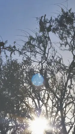 Wedding Vlog