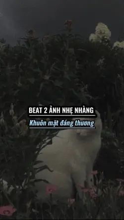[2] ảnh nhẹ nhàng 