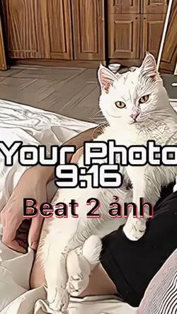 Beat 2 ảnh + màu