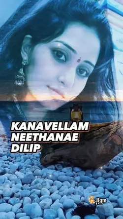 Kanavellam Dilip V