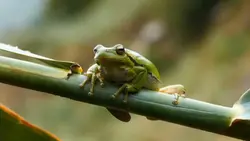 Slow motion KATAK