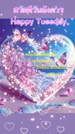 Happy Tuesday 
