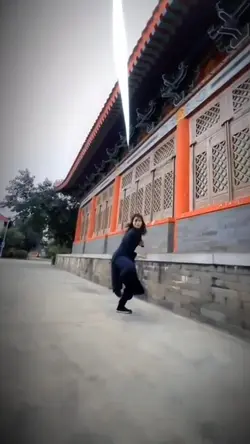 kungfu girl