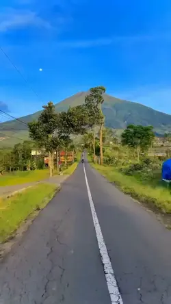Vlog