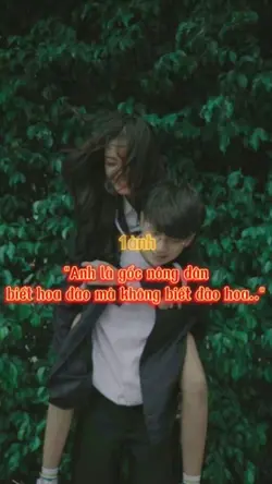 mẫu +1ảnh dễ thương