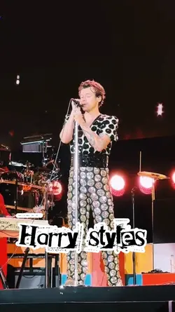 harry styles concert