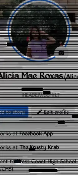 fb reveal