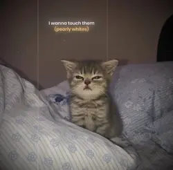 Melting