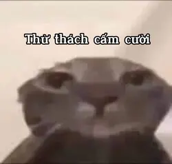 Kh hẳng là TTCC:')