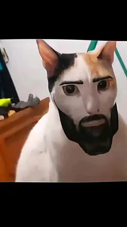 mwecwe