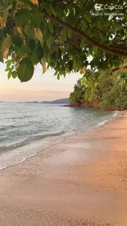 come with me