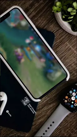 Frame hp