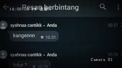pesan berbintang