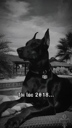 Tôi lúc 2018 và....