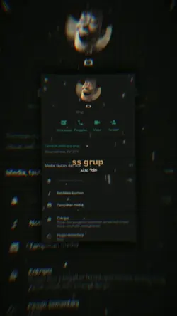 versi ber 5