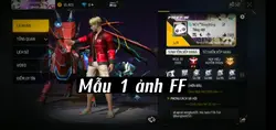 Mẫu 1 ảnh FF