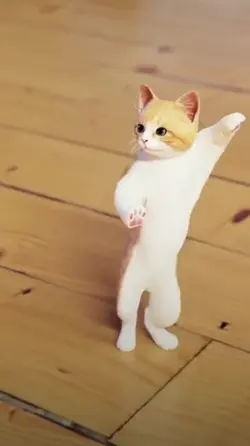 cat ngedance