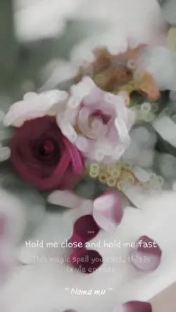 La Vie En Rose