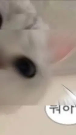 그물먹기2트째