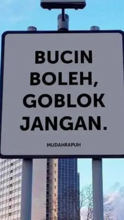 bucin boleh