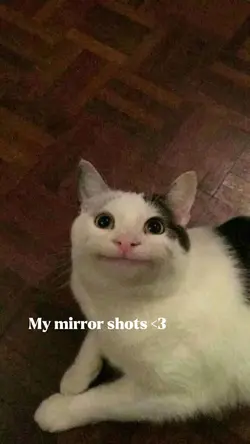 My mirror shots