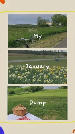 My January Dump