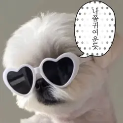 너 나랑 사귈래?