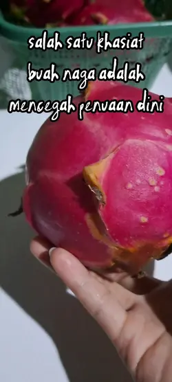 khasiat buah naga
