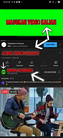 youtuber prank 