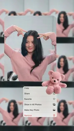 frame bear