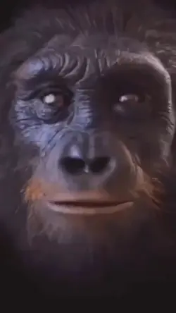 #MonkeyGlowUp