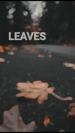 #LeavesLyricsOverlay