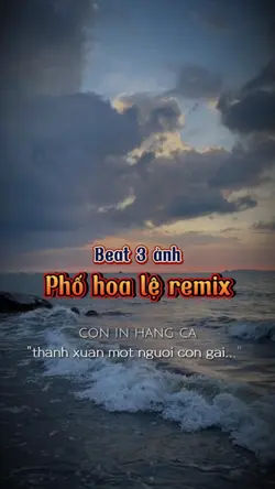 Phố hoa lệ remix