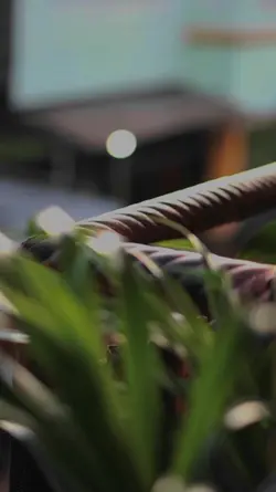 CINEMATIC FILTER HD