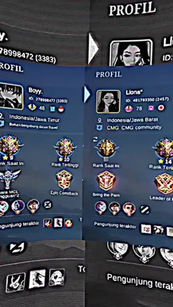 collab ber-2
