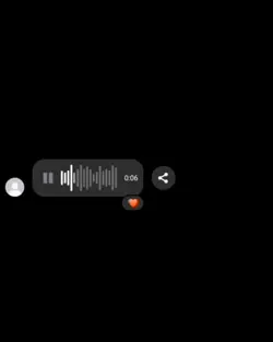 Voice Message