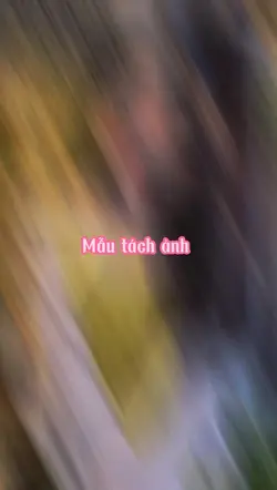 Mẫu tách ảnh