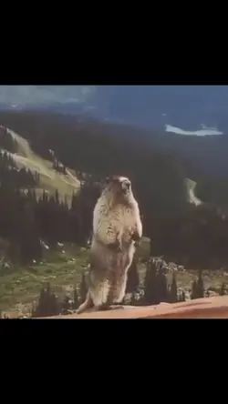 thêm 1 ảnh để lấy vd