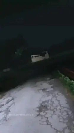 surprise