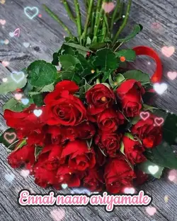 14 February 