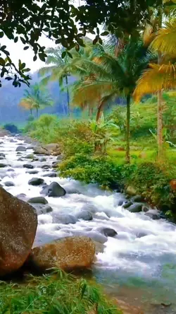 mentahan