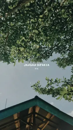 kenangan terindah X