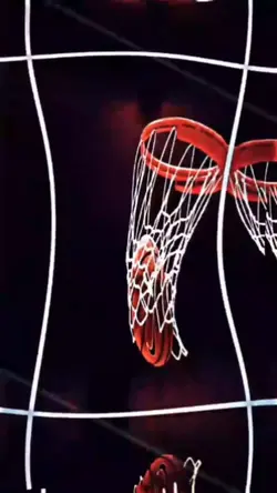 Basketball lover?