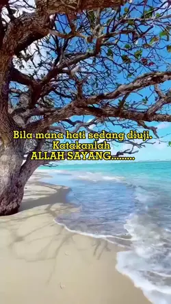 Kuat 
