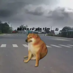 Share vd đyyy