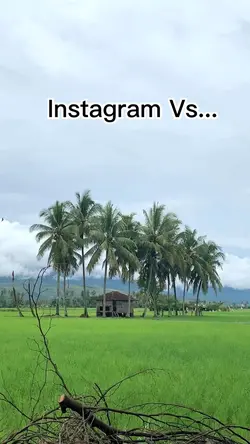 Instagram vs reality