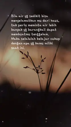 status harian
